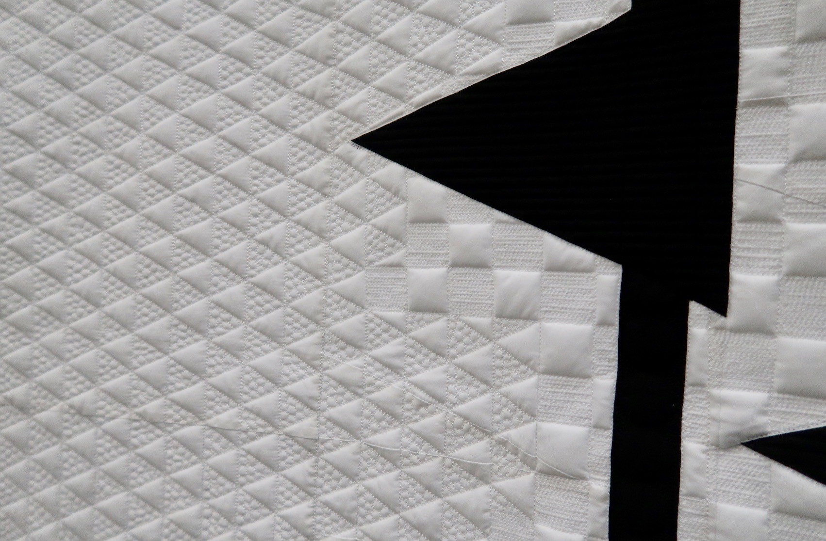 "Deportation" by Jackie Benedetti, quilted by Rachael Dorr - Detail 1